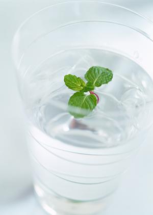 日本橋で必ず満足できるイタリアン：2024年最新おすすめガイド